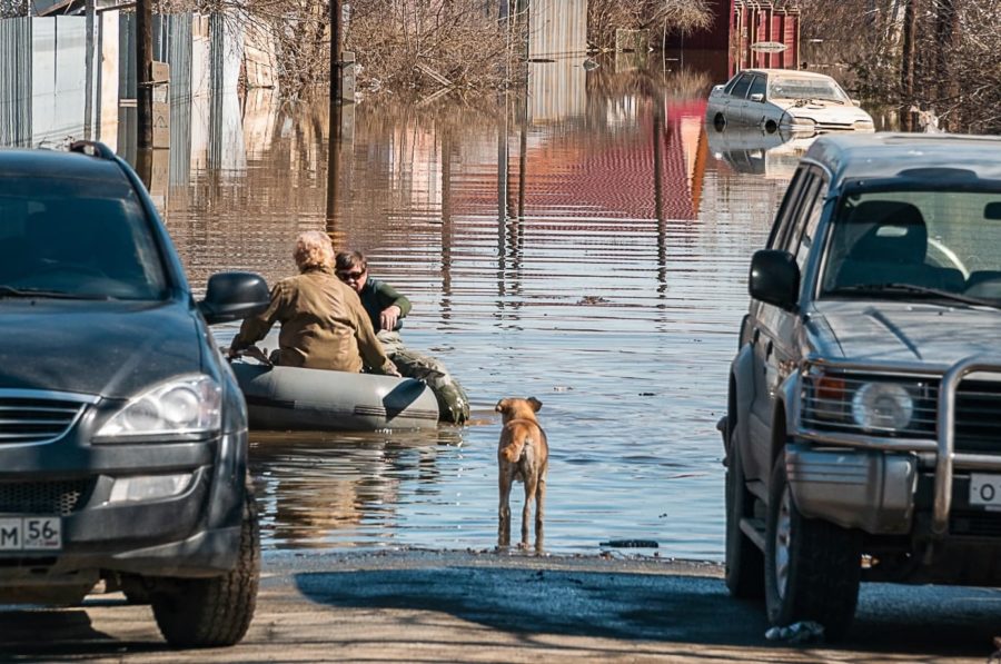 Фото: Новая вкладка